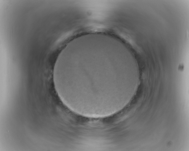 X0000091501447200709061913