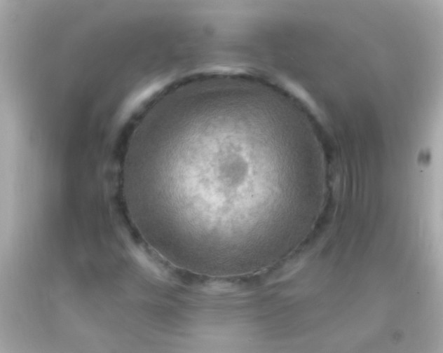 X0000091501448200709061913