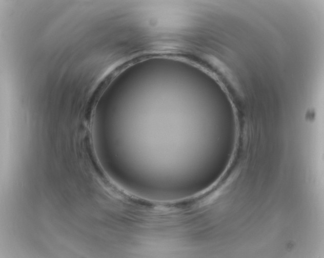 X0000091501449200709061913