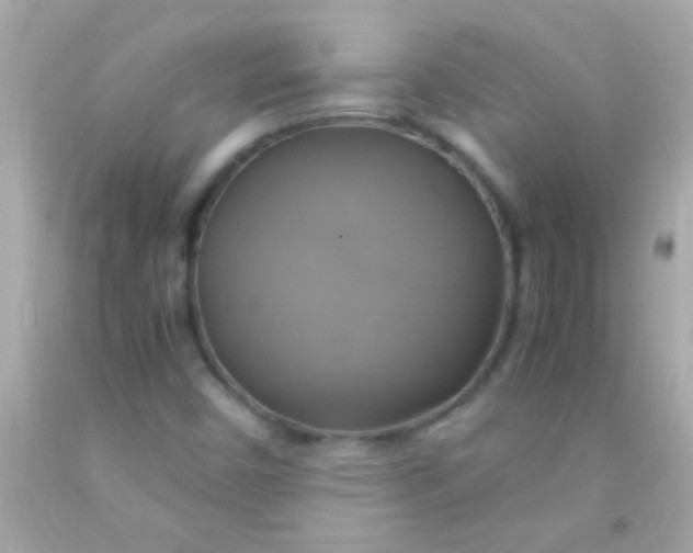 X0000091501450200709061913