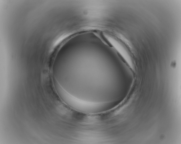 X0000091501453200709061913