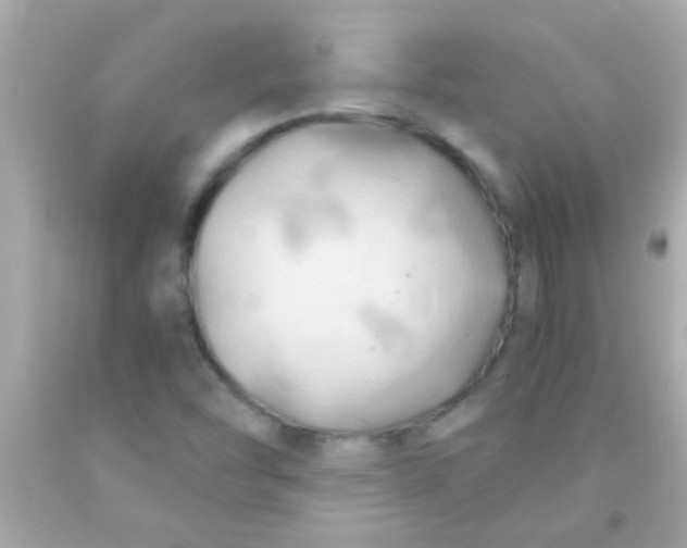 X0000091501454200709061913