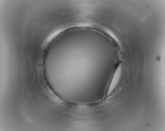 X0000091501456200709061913