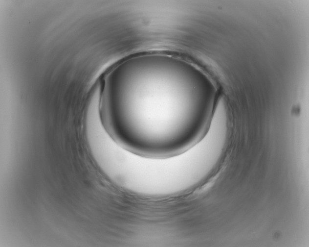 X0000091501457200709061913