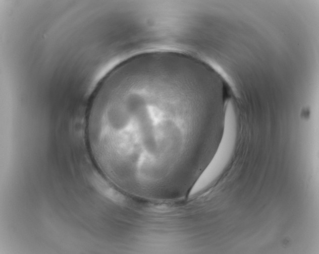 X0000091501460200709061913