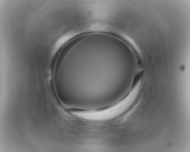 X0000091501461200709061912