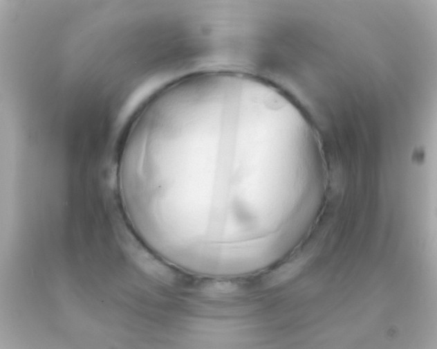 X0000091501462200709061912