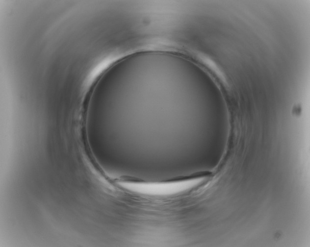 X0000091501463200709061912