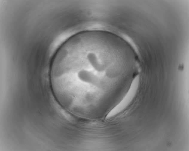 X0000091501464200709061912