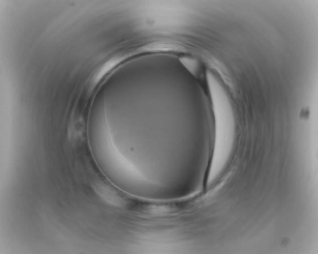 X0000091501465200709061912