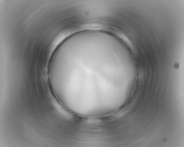 X0000091501466200709061912