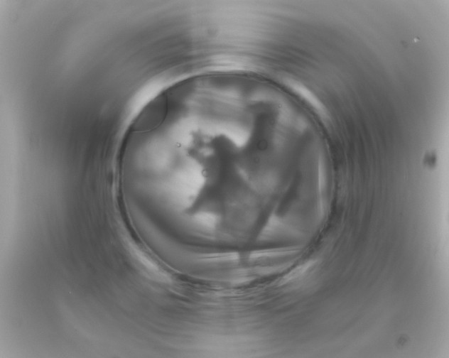 X0000091501467200709061912