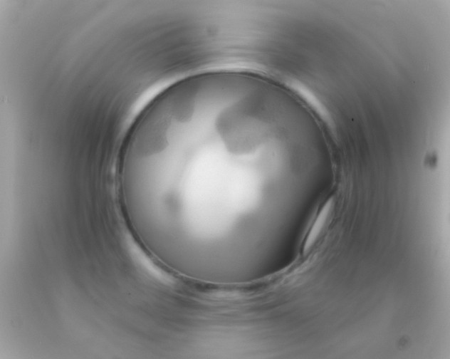 X0000091501468200709061912