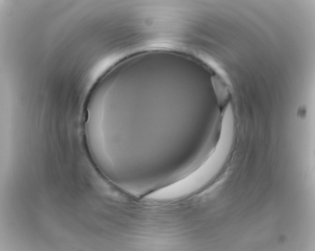 X0000091501469200709061912