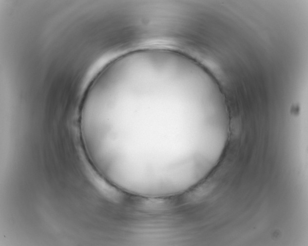 X0000091501470200709061912