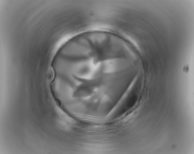 X0000091501471200709061912