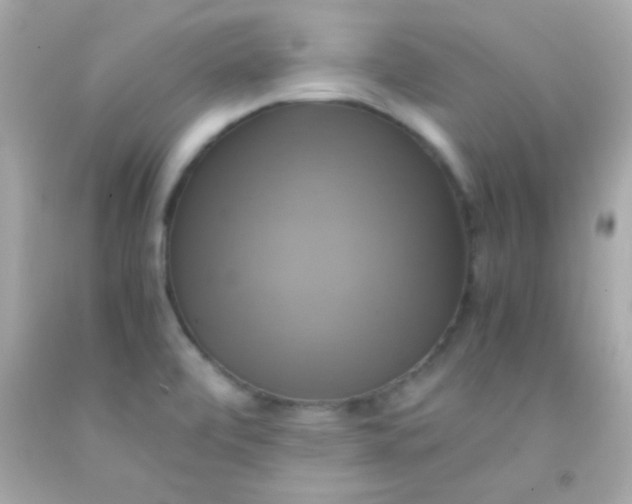 X0000091501472200709061912