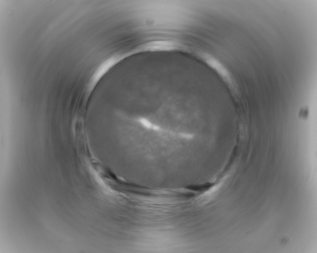 X0000091501473200709061912