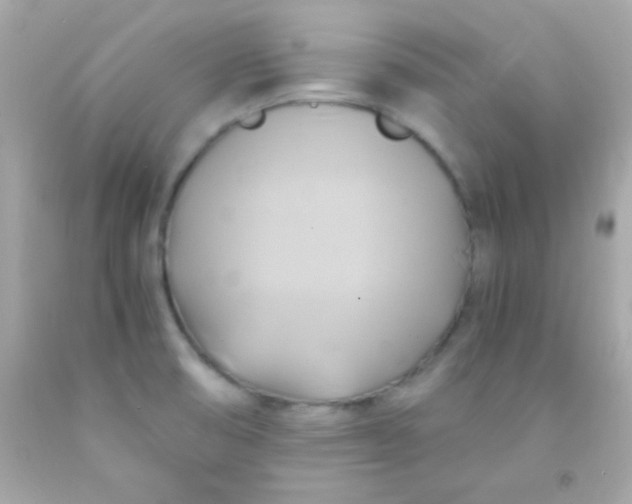 X0000091501474200709061912