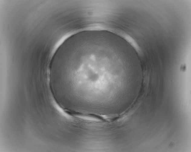 X0000091501476200709061912