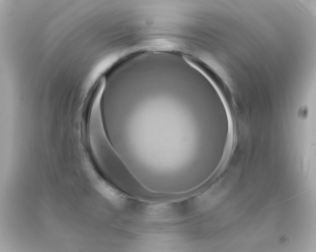 X0000091501477200709061912