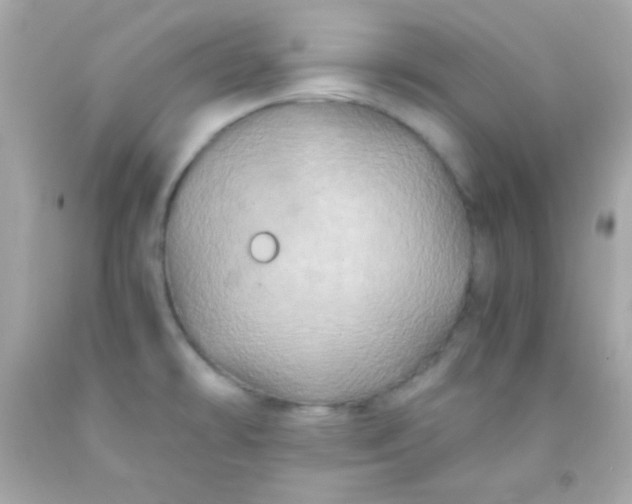 X0000091501478200709061912