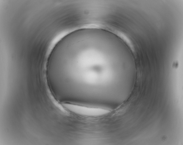 X0000091501480200709061912