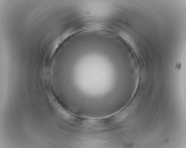 X0000091501481200709061912