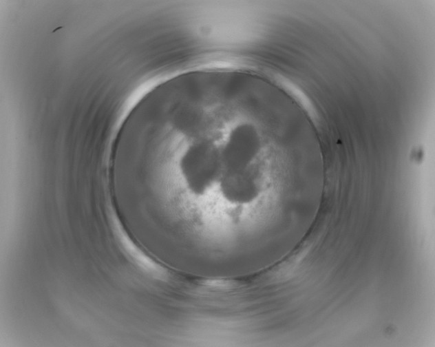 X0000091501483200709061912