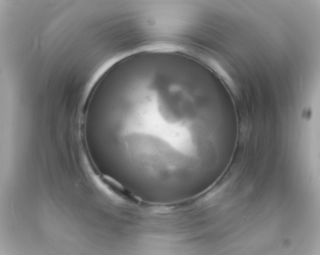 X0000091501484200709061912