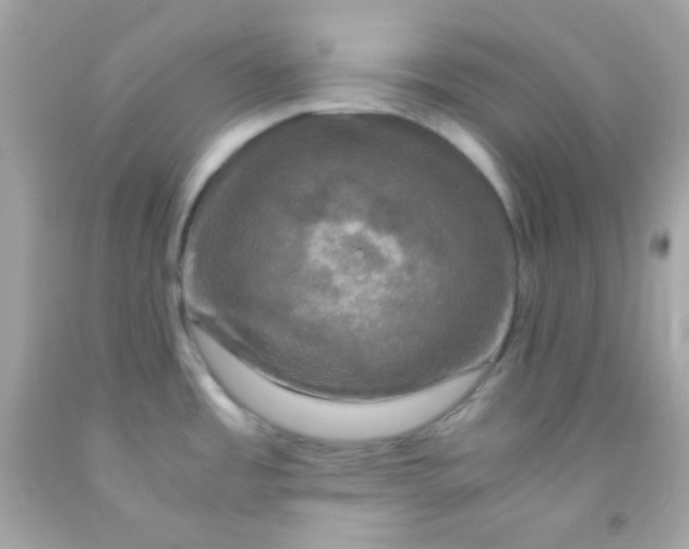 X0000091501485200709061912