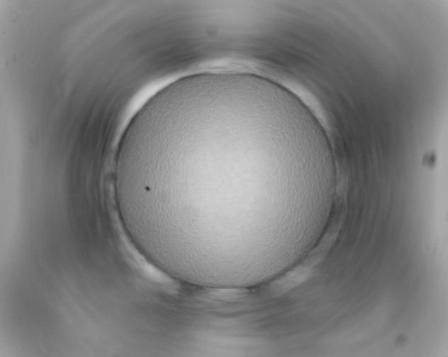 X0000091501486200709061912