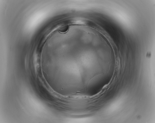 X0000091501487200709061912