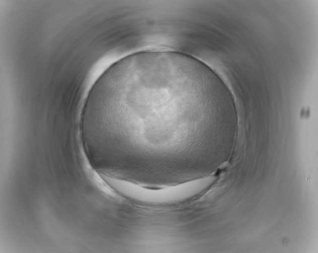 X0000091501488200709061912