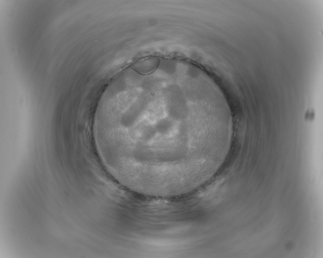 X0000091501489200709061911