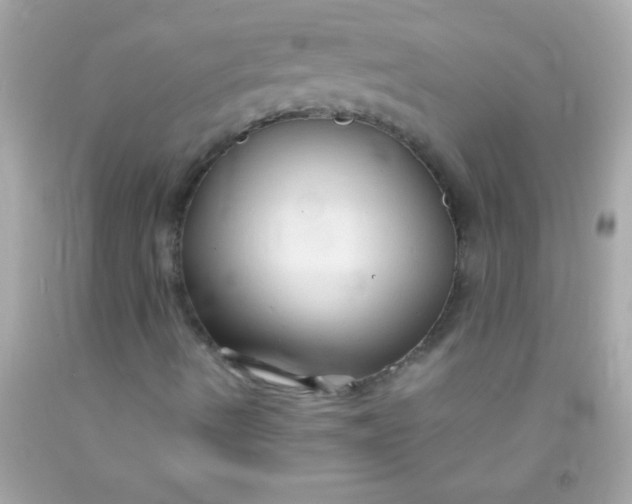 X0000091501490200709061911