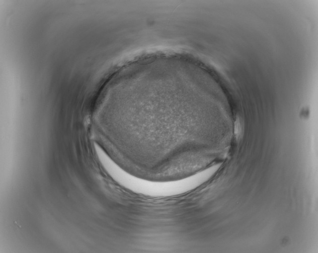 X0000091501492200709061911