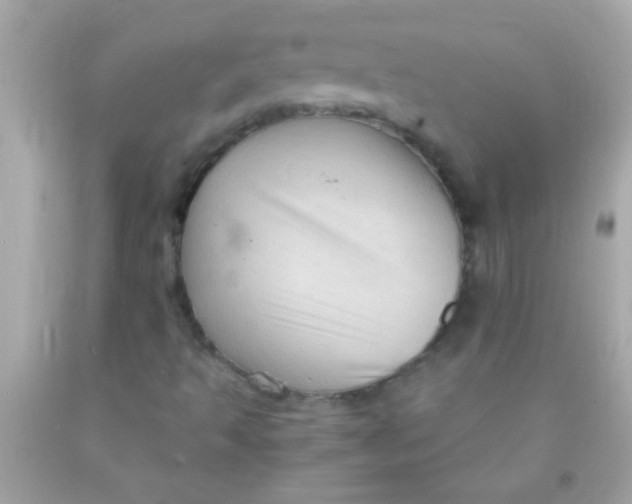 X0000091501493200709061911