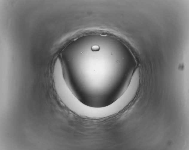 X0000091501494200709061911