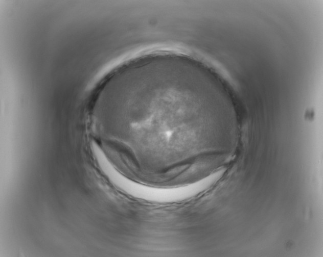 X0000091501496200709061911