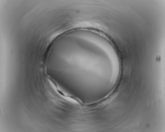 X0000091501497200709061911