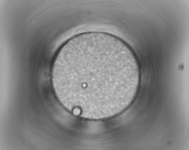 X0000091501498200709061912