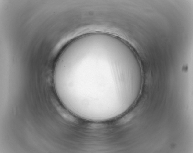 X0000091501499200709061912