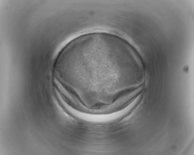 X0000091501500200709061912