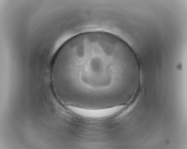 X0000091501501200709061912