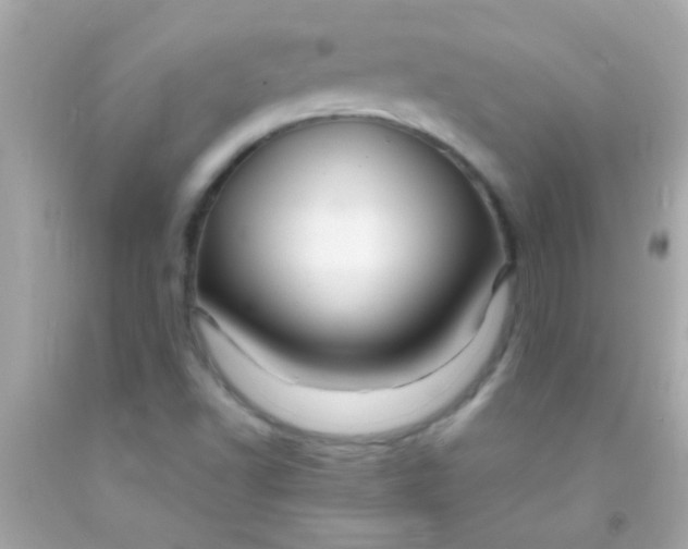 X0000091501502200709061912