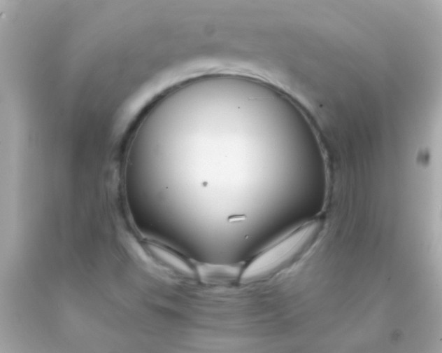 X0000091501503200709061912