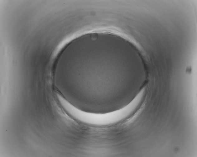 X0000091501506200709061912