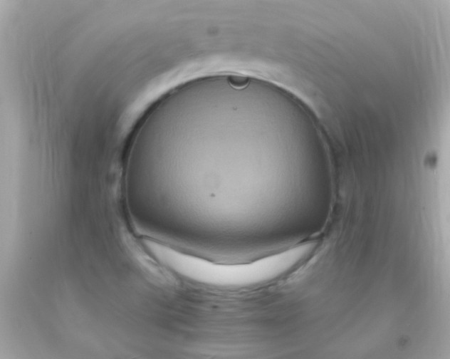 X0000091501507200709061912