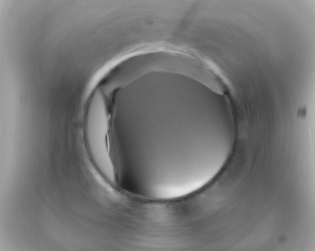 X0000091501508200709061912